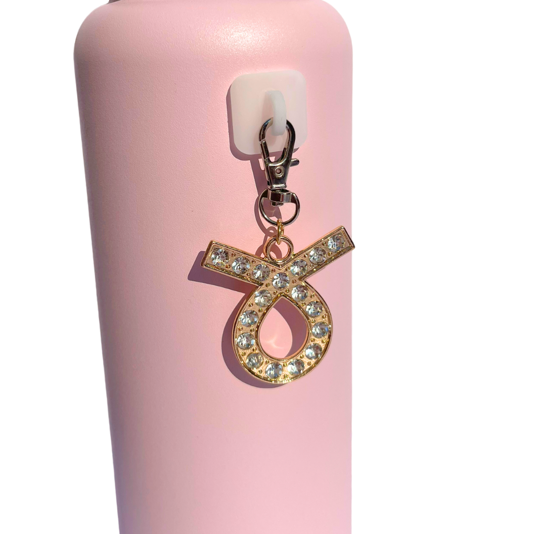 Zodiac Charms
