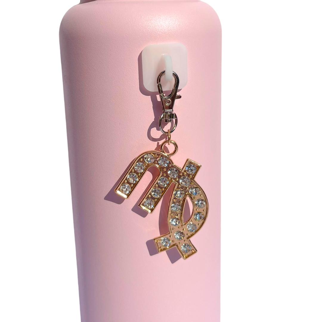 Zodiac Charms