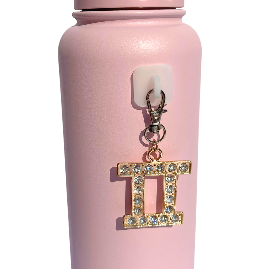 Zodiac Charms