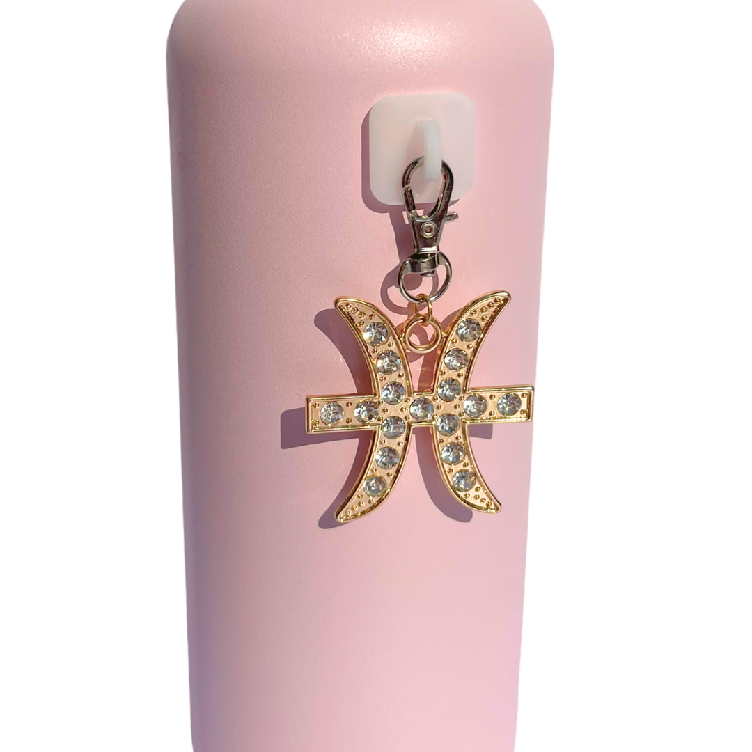 Zodiac Charms