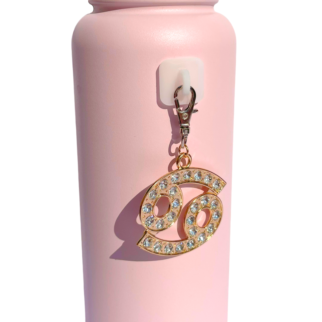 Zodiac Charms