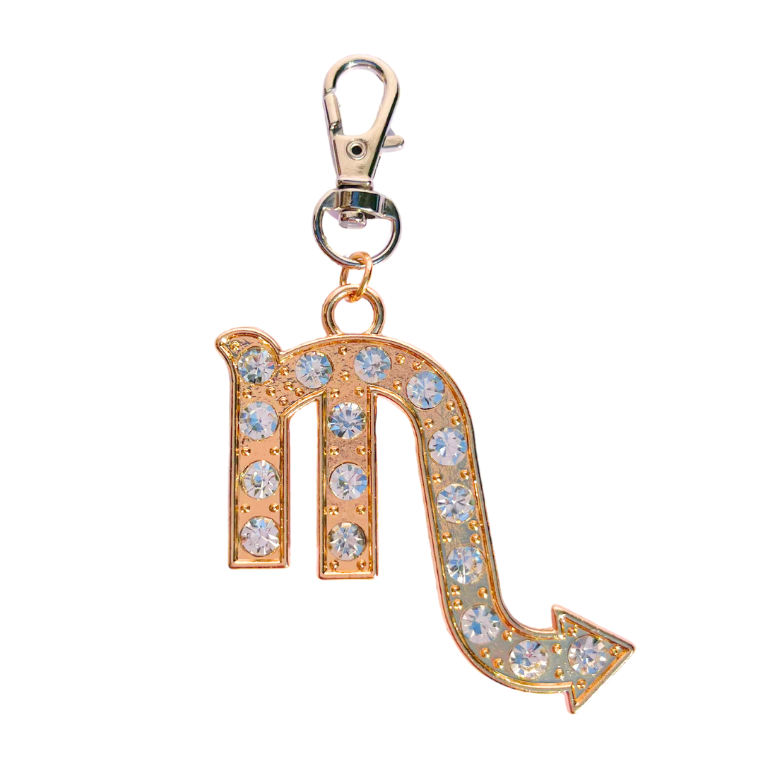 scorpio zodiac charm