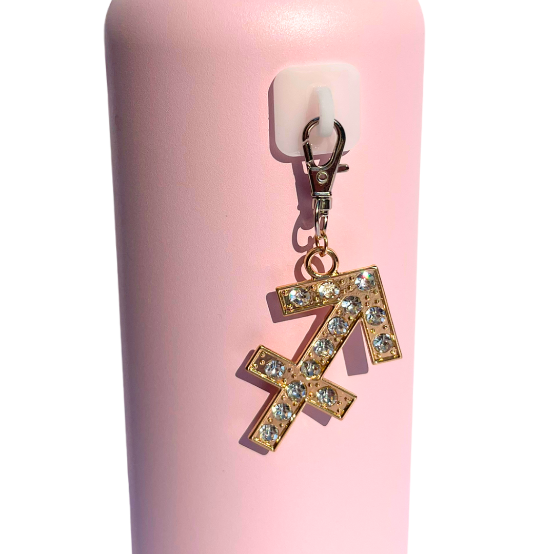 Zodiac Charms