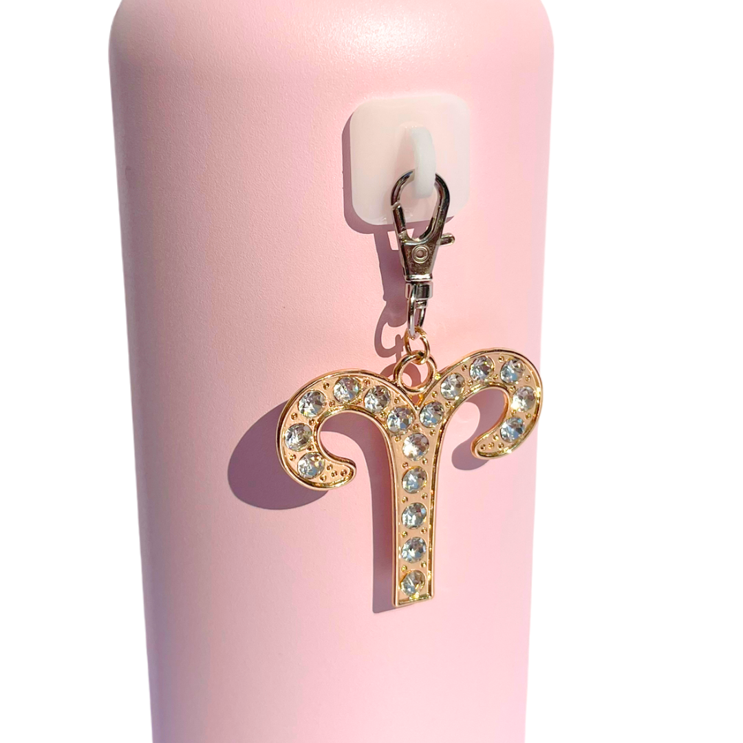 Zodiac Charms