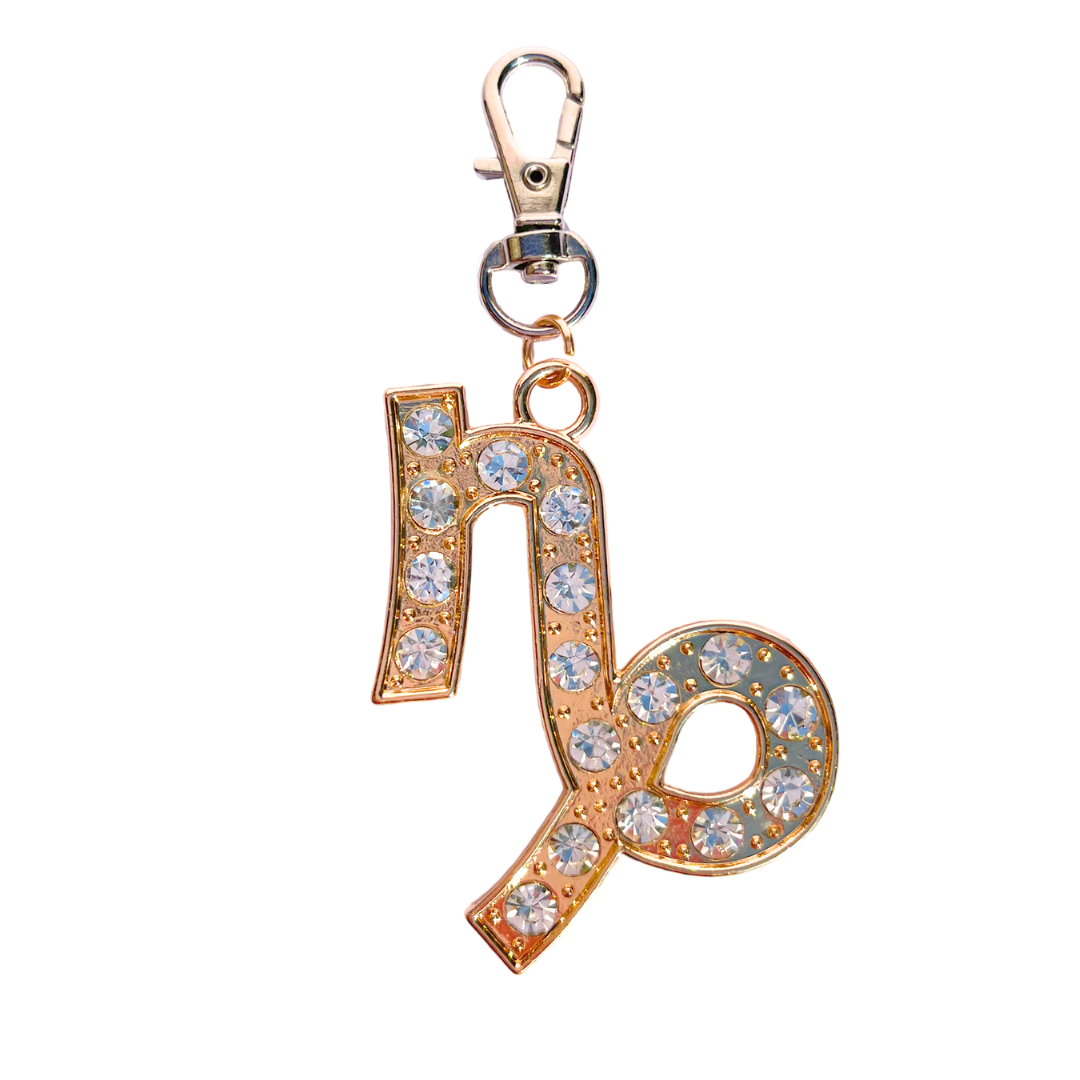 Zodiac Charms
