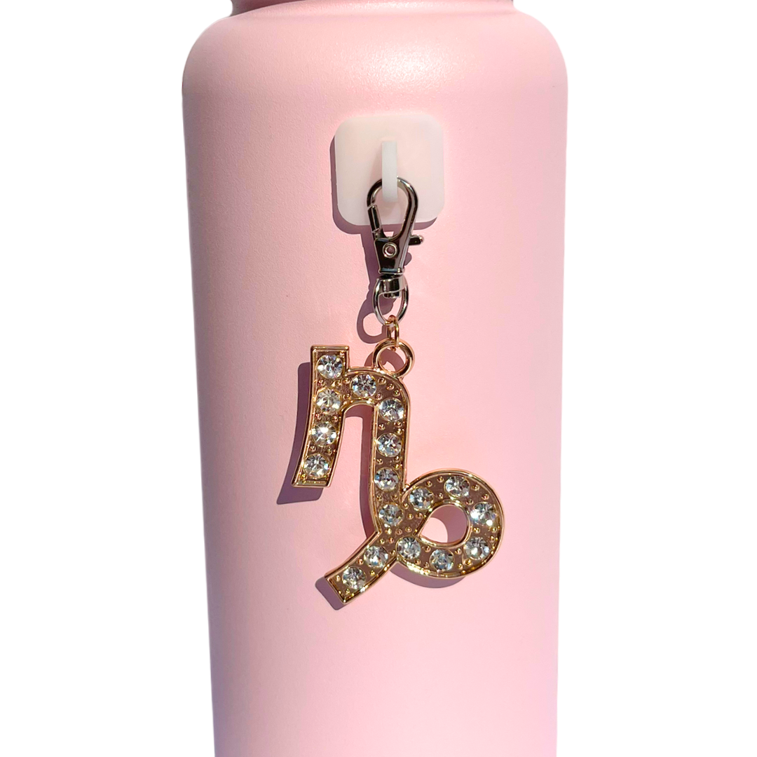 Zodiac Charms