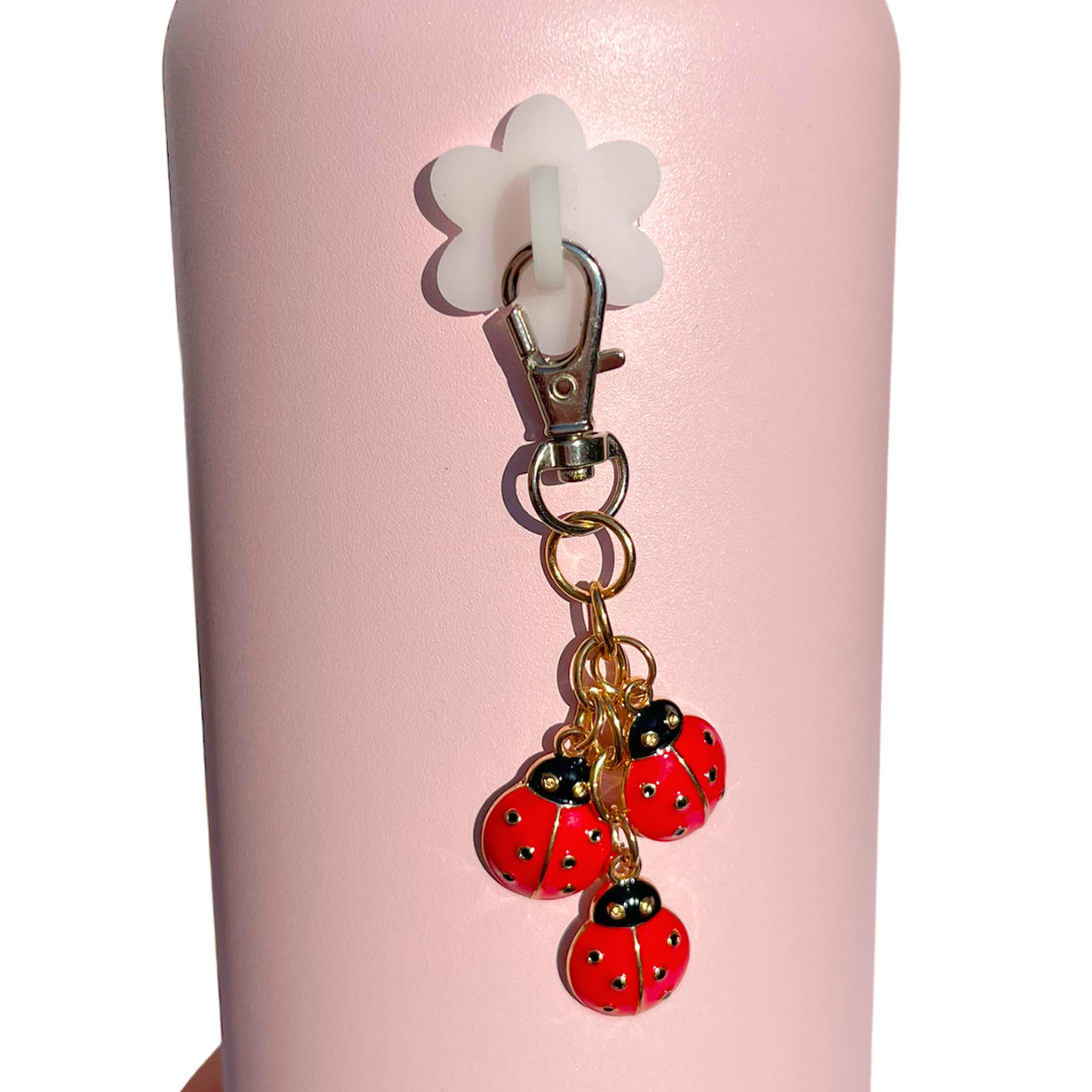 lady bug water bottle accessory